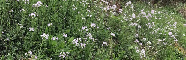 C4860C61-8D31-496A-A6B1-477B938CA961